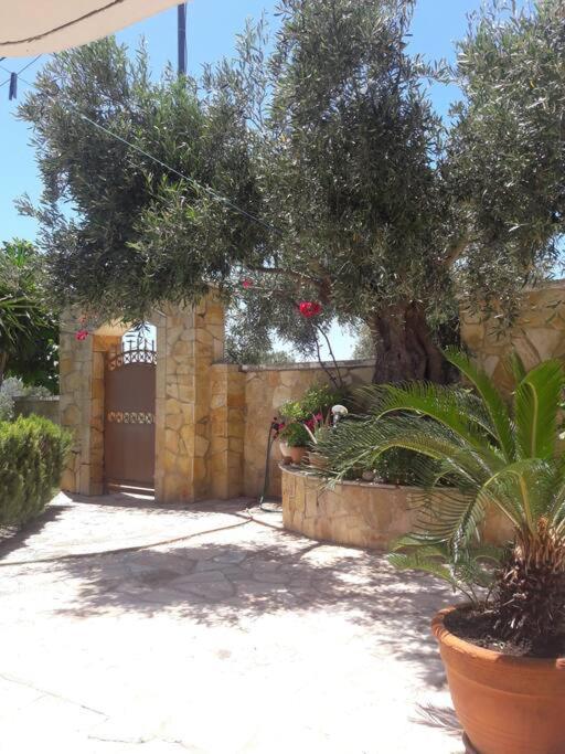 Appartement Porto Vito à Aigosthena Extérieur photo